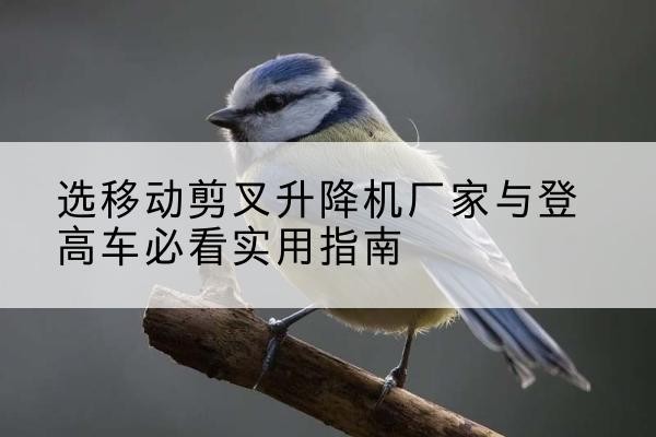 肥东电动升降机厂家-选移动剪叉升降机厂家与登高车必看实用指南