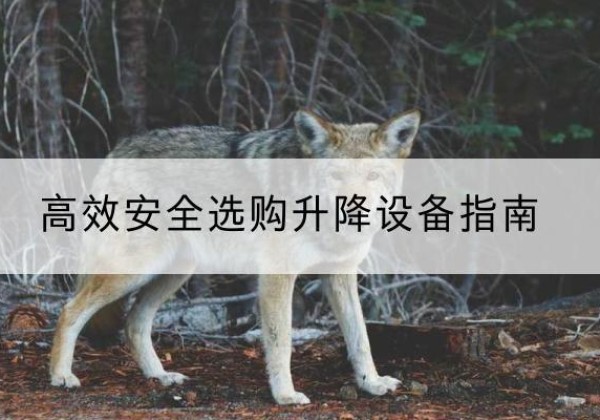 肥东升降货梯厂家推荐-*安全选购升降设备指南