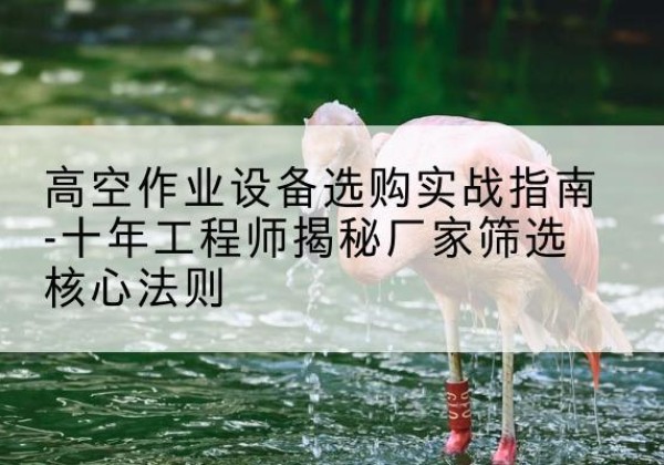 肥东剪叉式升降机厂家-高空作业设备选购实战指南-十年工程师揭秘厂家筛选核心法则